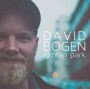 Albumcover for David Bogen «Idioten Park»