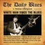 Albumcover for Steinar Albrigtsen «The Daily Blues»