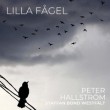 Peter Hallström «Lilla Fågel»