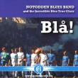 Notodden Blues Band «Blå»