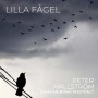 Albumcover for Peter Hallström «Lilla Fågel»